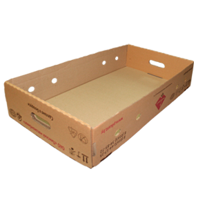 
    Corrugated cardboard boxes T-20

