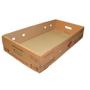 
    Corrugated cardboard boxes T-20

